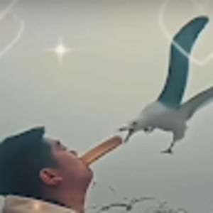 Meet your Posher, Olly